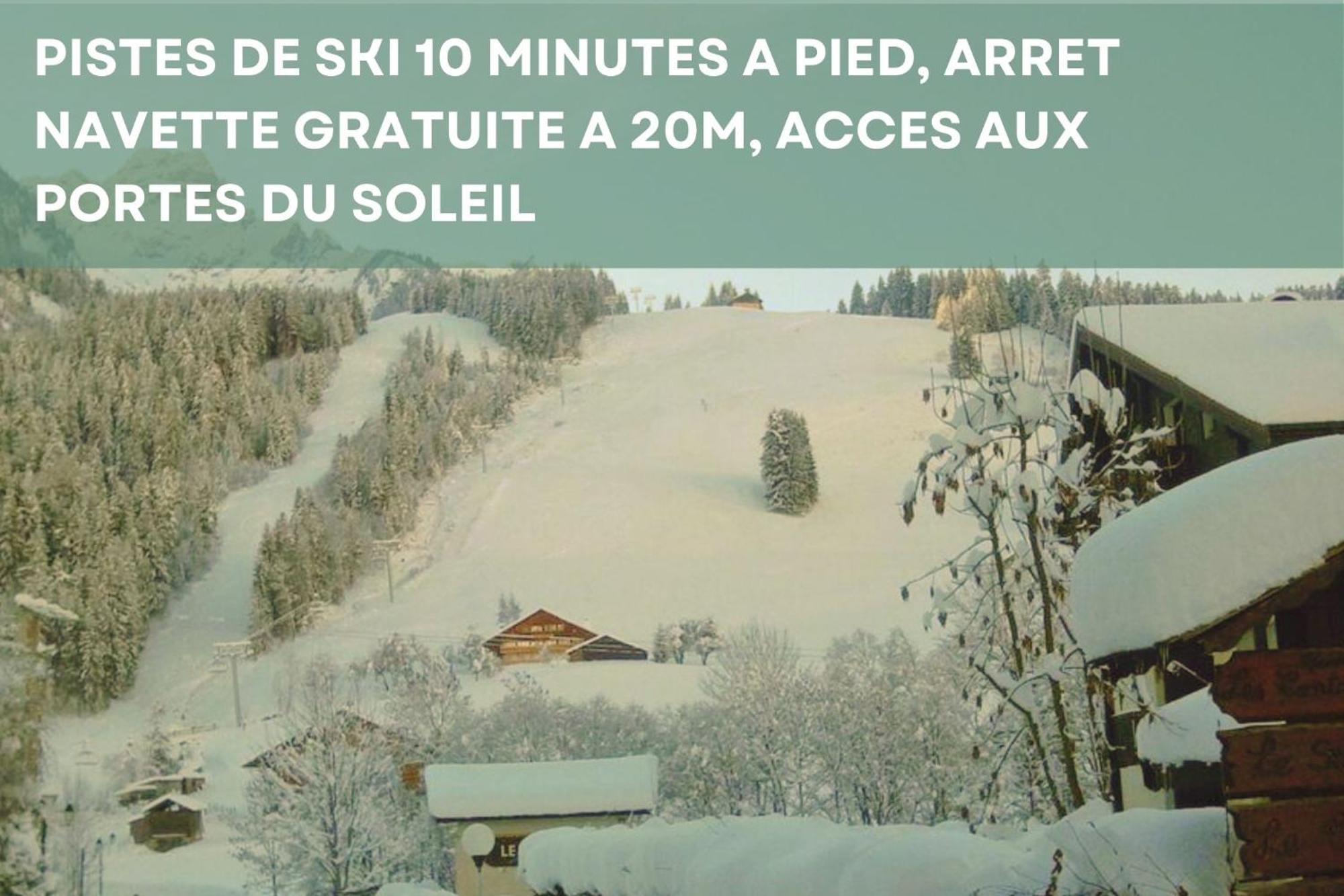 Chalet Les 4 Saisons - Ski, Parking Et Jardin Abondance Esterno foto